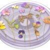 6537673_rd.jpg PopSockets - PlantCore Cell Phone Grip & Stand - Purple Fields